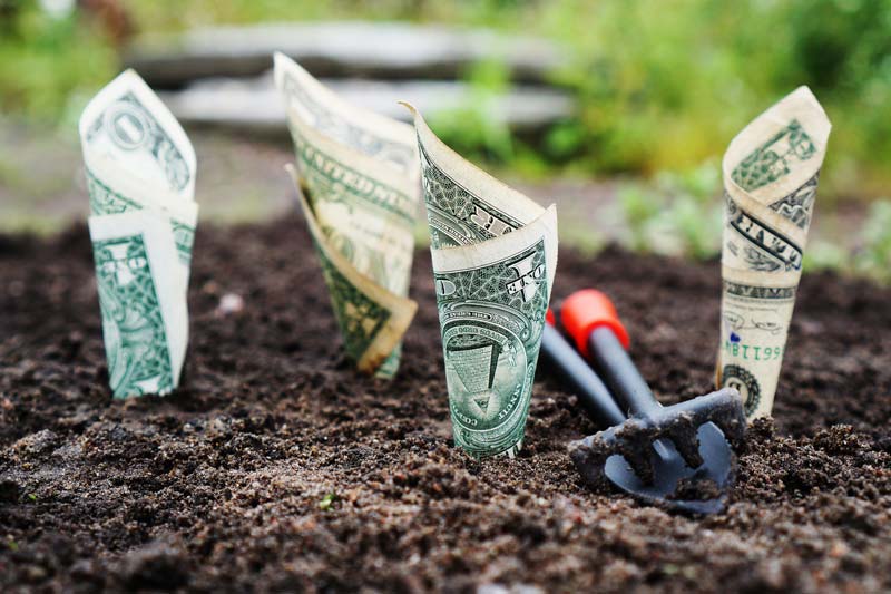Analogy of Money being planted for Financial Growth