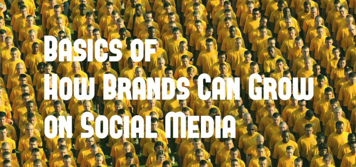 Basics of How Brands Can Grow On Social Media?