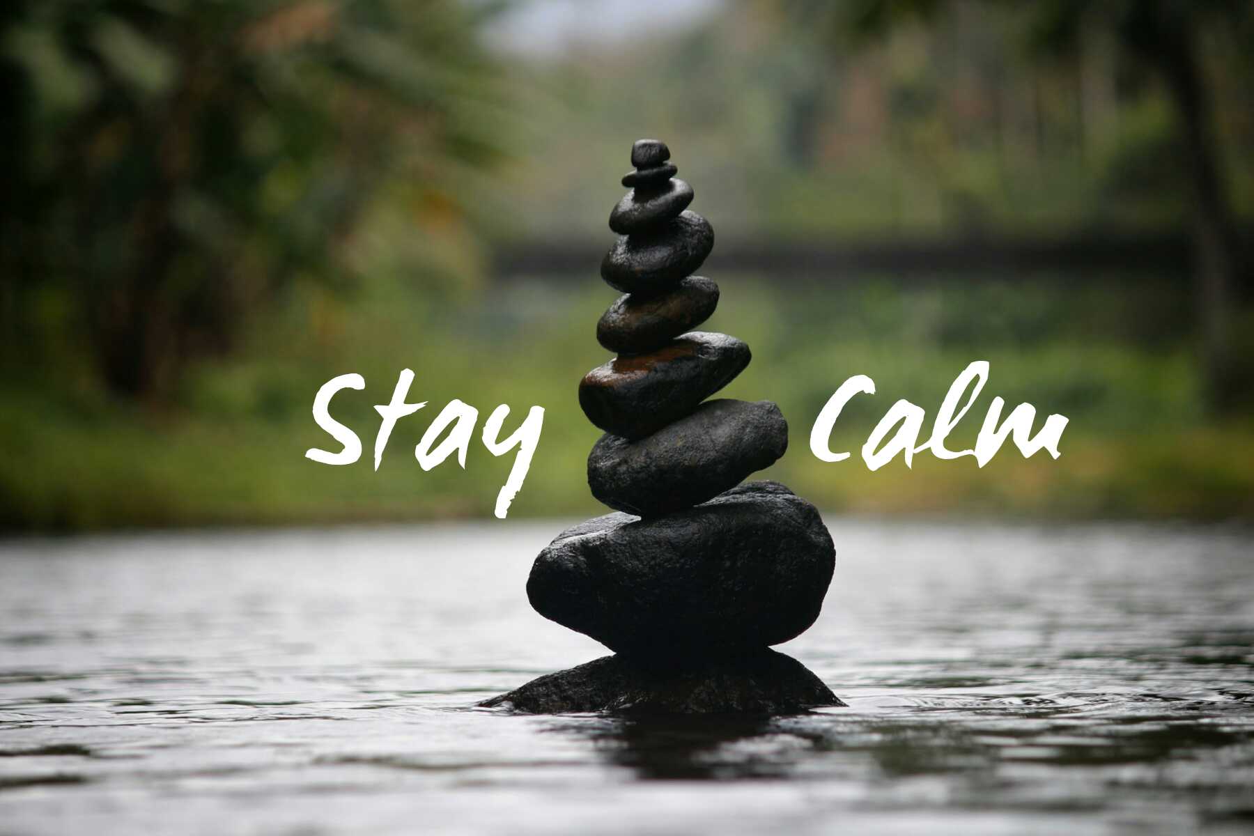How to Stay Calm and WIN an Argument as an Entrepreneur?