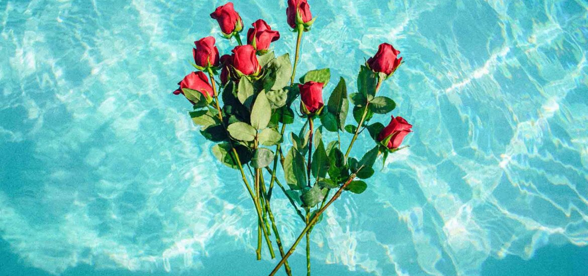 Discover 11 Rosy Beauty Benefits of Rose Petals