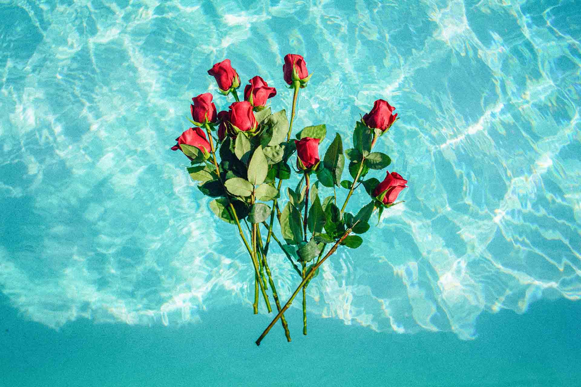 Discover 11 Rosy Beauty Benefits of Rose Petals