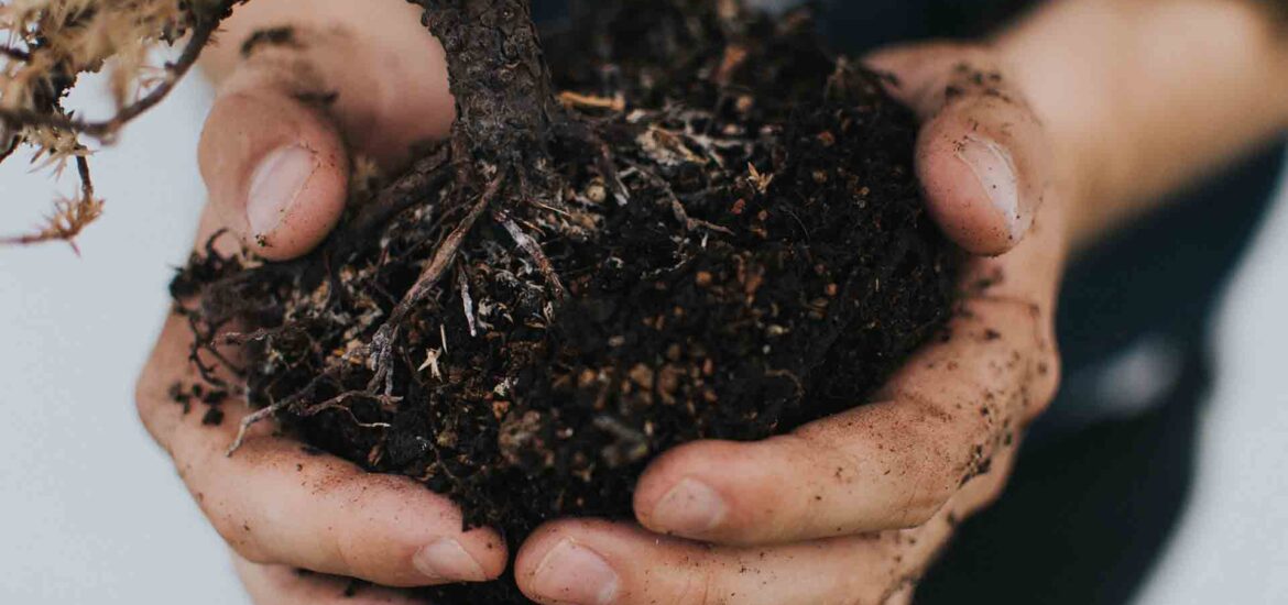 What Kinds of Things Can Be Composted?