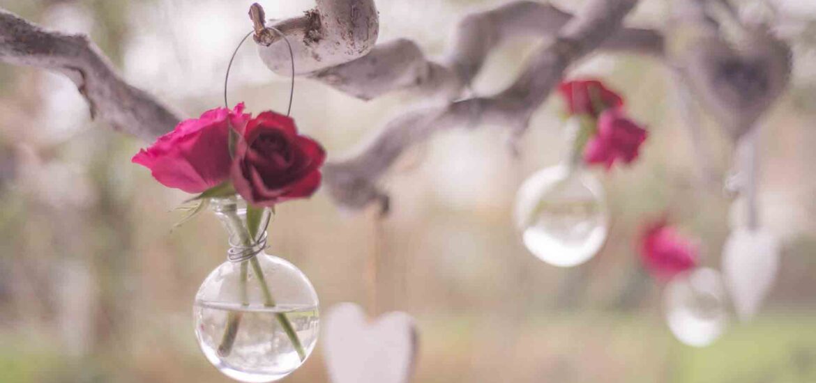 How to Make Rose Infused Oil?