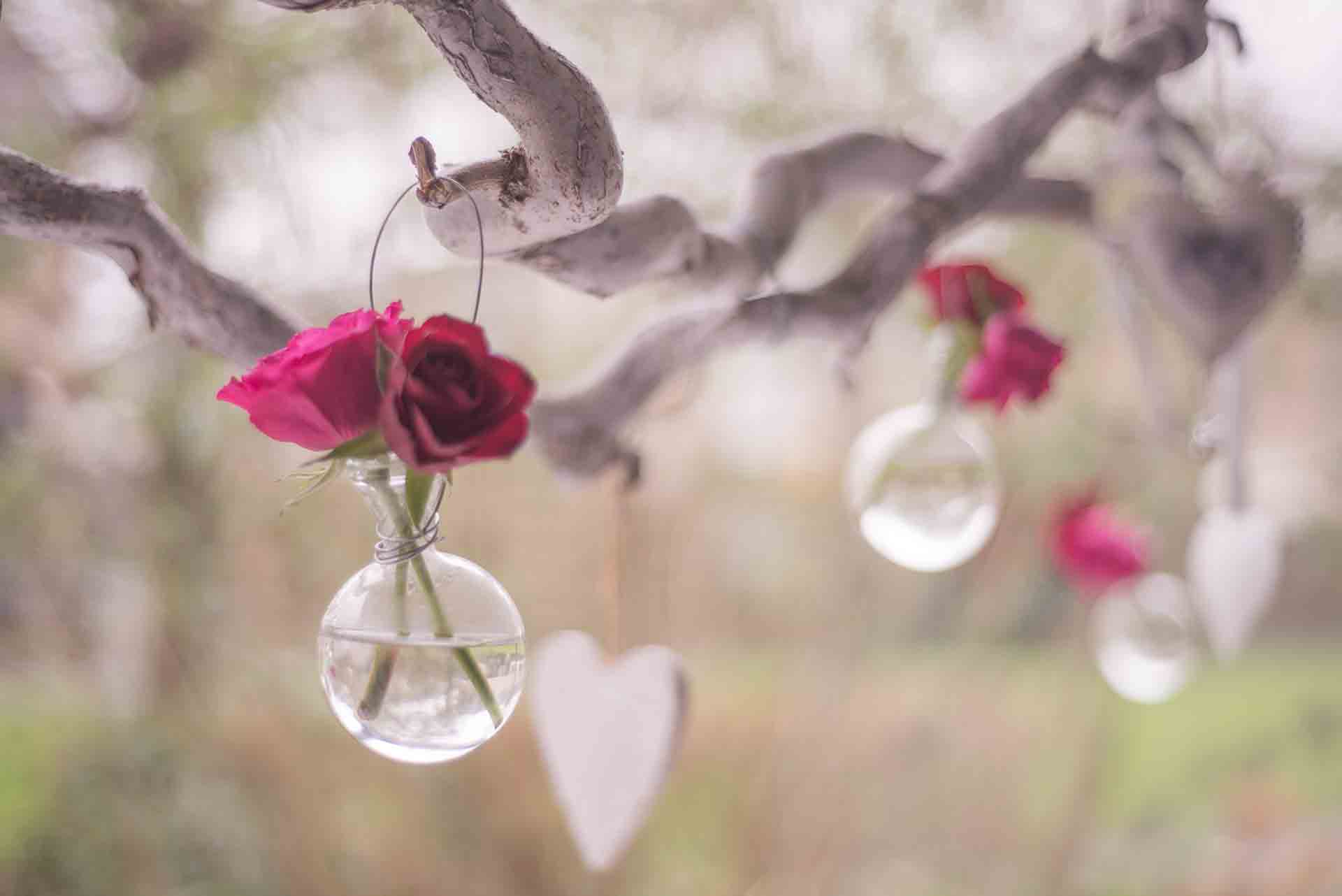 How to Make Rose Infused Oil?