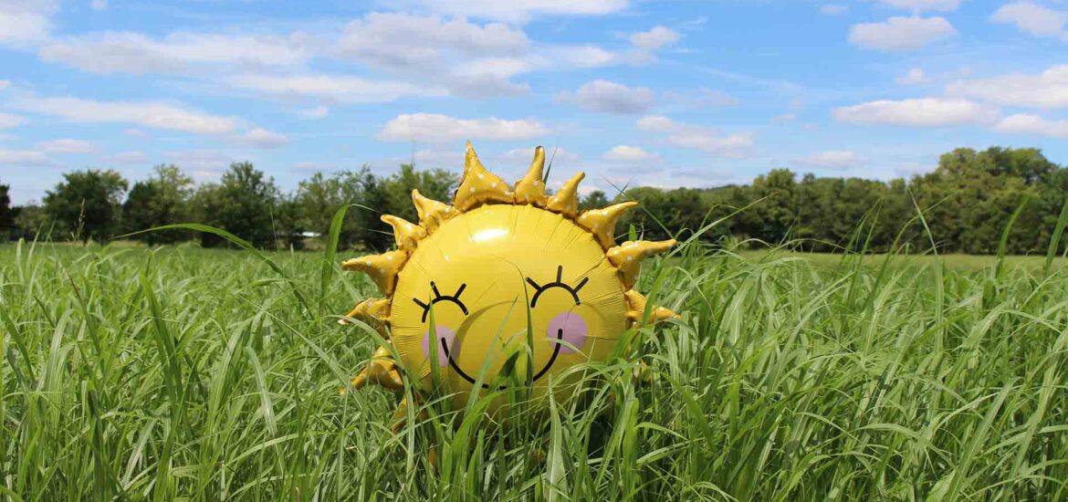 Do You Have Enough of the Sunshine Vitamin? VITAMIN D
