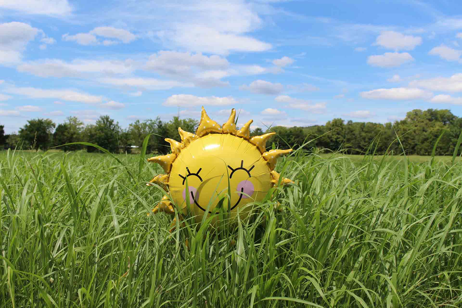 Do You Have Enough of the Sunshine Vitamin? VITAMIN D